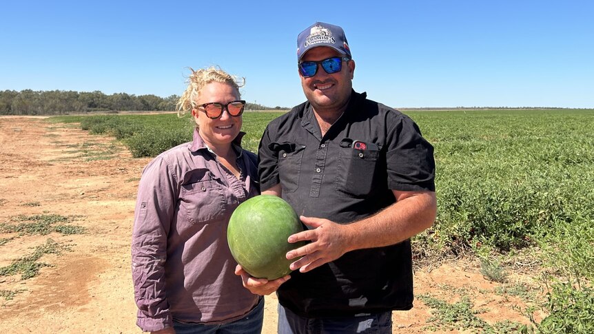 Growing watermelons in outback NSW is 'all about water' access, young family says