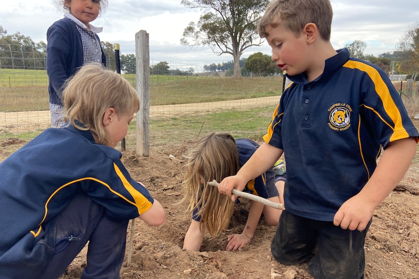 Children play in the dirt and dig holes