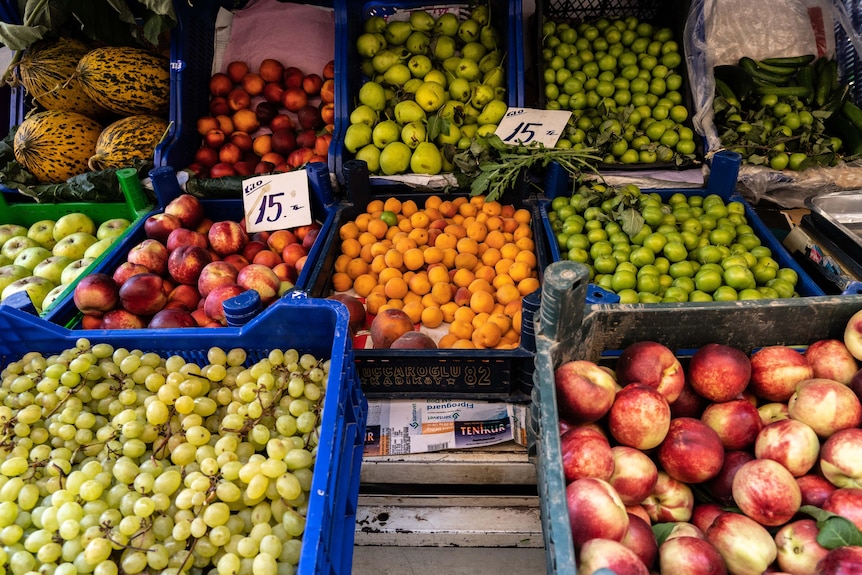 Trays of fruits including grapes, apples, stonefruit and melons are stacked together. Signs show 15/kilo