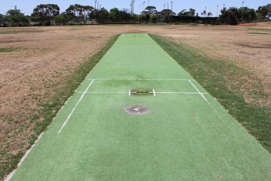 A cricket pitch in the middle of a dry oval.