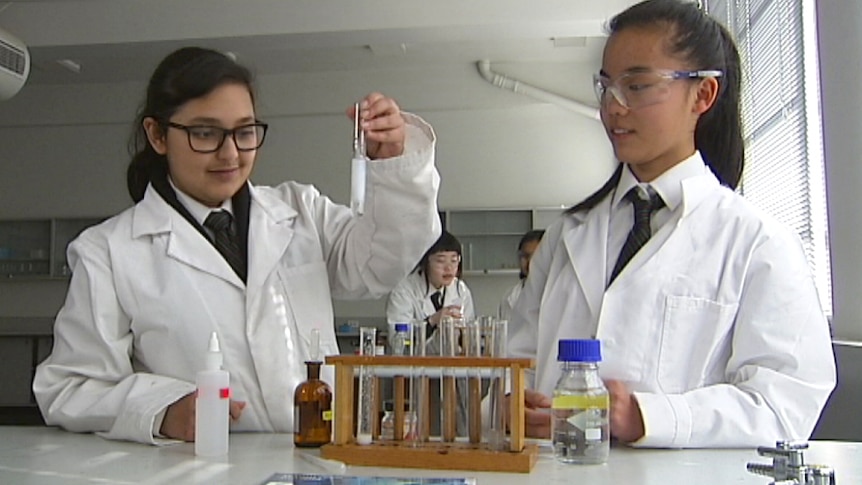High school science students Simran Rajpal and Janet Zhong