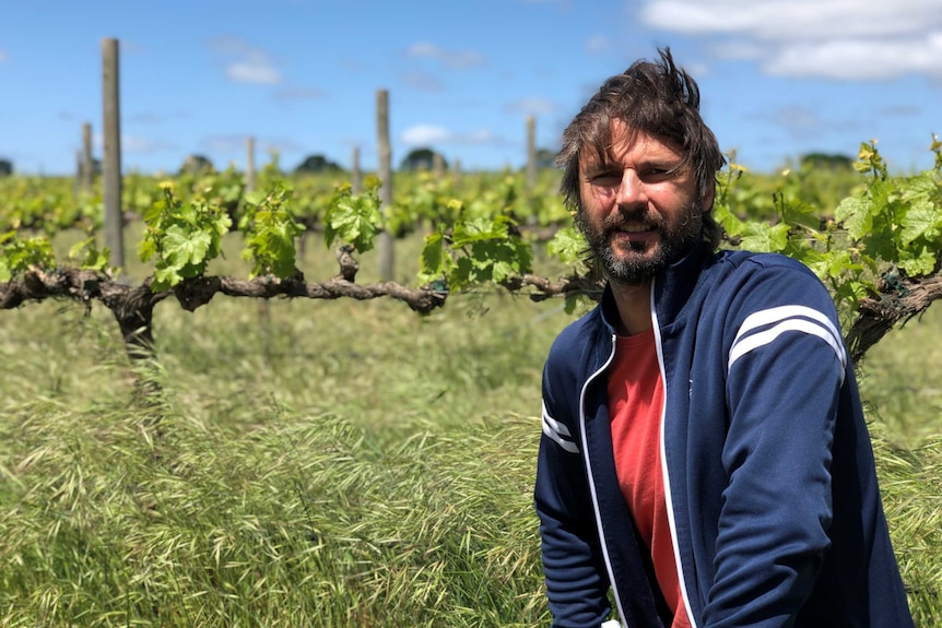 A man in a tracksuit jacket squats among rows of vines surrounded by native grasses.