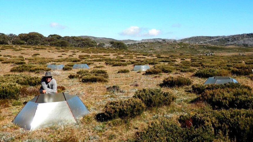 Plots used for investigating experimental warming effects on flora