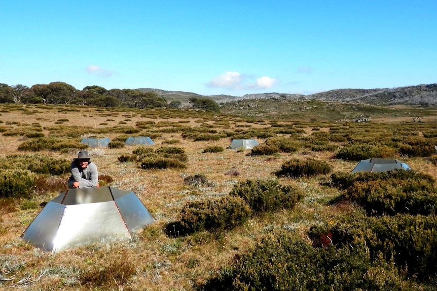 Plots used for investigating experimental warming effects on flora