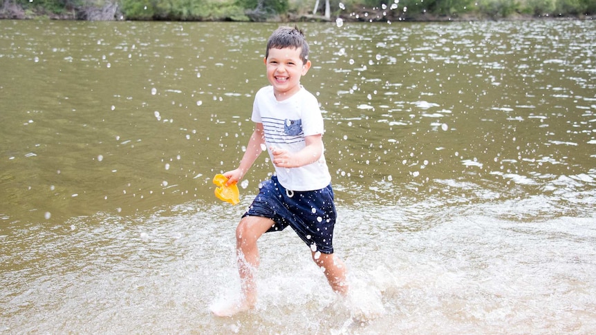 Five-year-old Jersey enjoys a splash at Kambah Pool