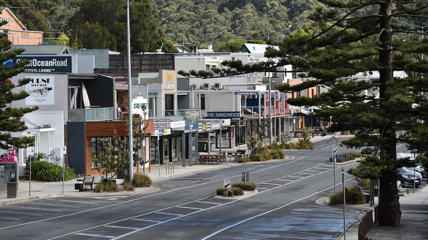 The main street of Lorne pictured from a distance with a pine tree in the foreground. 