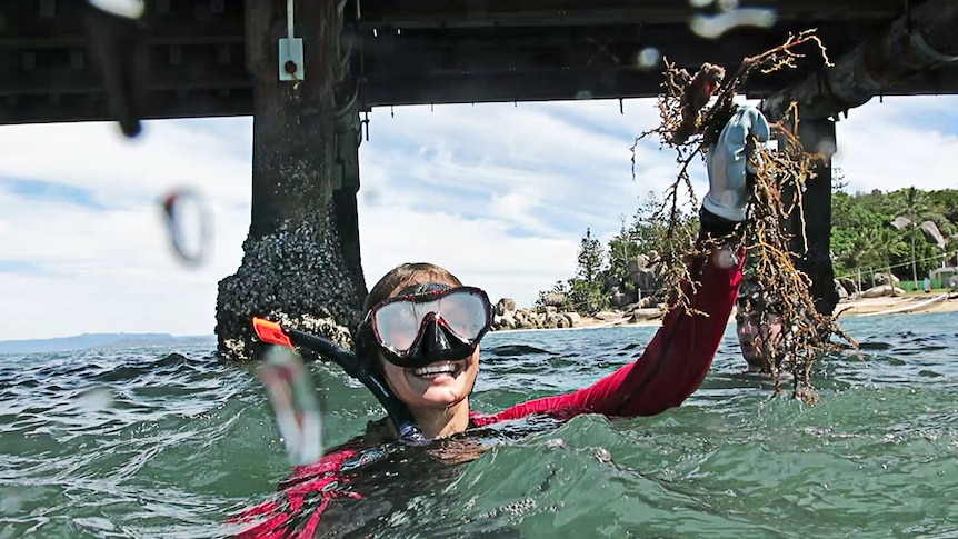 Students from The Ohio State University enjoying helping with the seaweed removal.