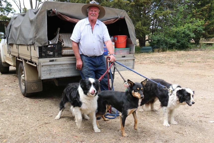 Teesdale sheep farmer Martin Butler