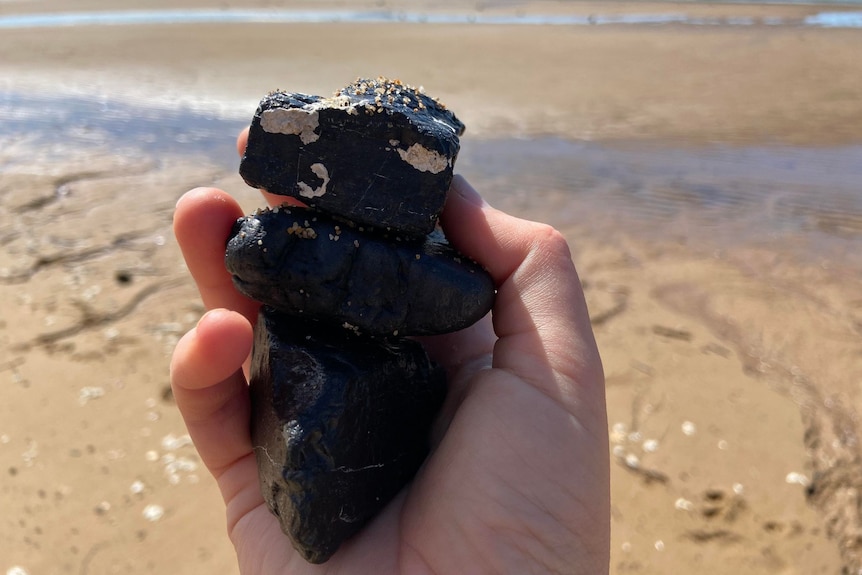 A hand holding three lumps of coal with the beach in the background