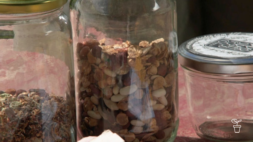 Glass jars filled with seeds