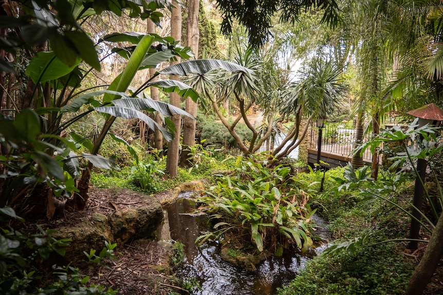 Inside Wanneroo Botanic Gardens