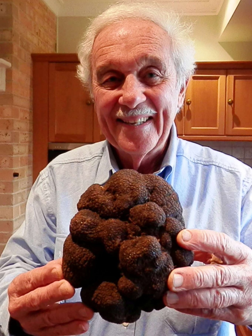 Australia’s largest Truffle grown in the NSW Southern Highlands June, 2014