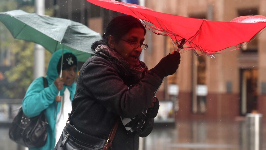 Wild weather is forecast for Sydney, the Hunter and Illawarra regions on Monday.