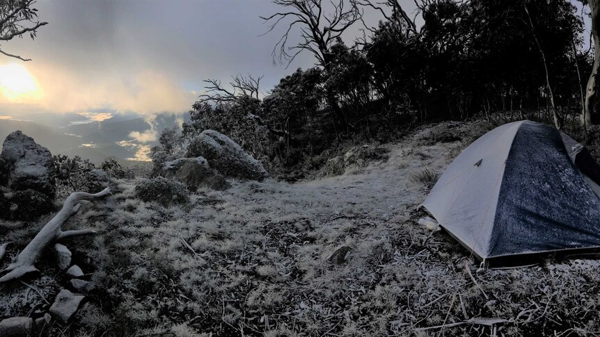 A tent is perched on the side of a mountain, with snow covering trees and rocks, the sun is rising in the distance.