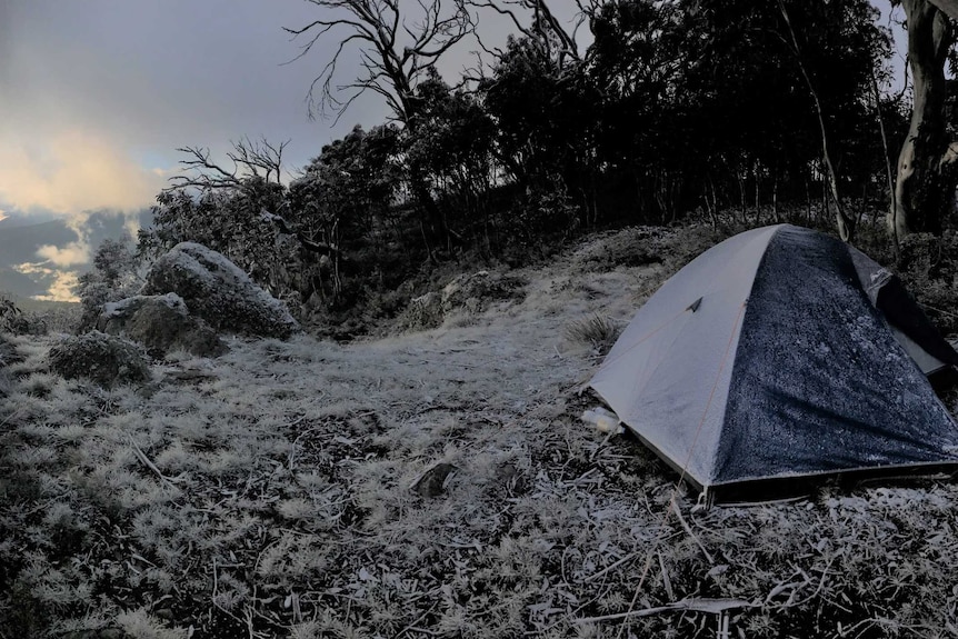 A tent is perched on the side of a mountain, with snow covering trees and rocks, the sun is rising in the distance.