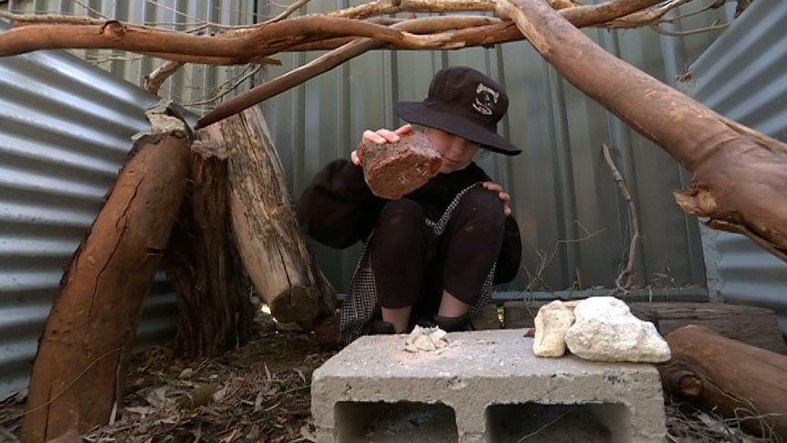 An unidentified child plays at North Fremantle Primary School in a nature playground.