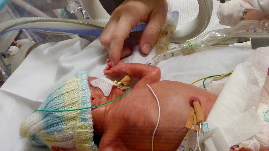 A premature baby in a humidicrib wearing a knitted beanie as a finger strokes his tiny hand.
