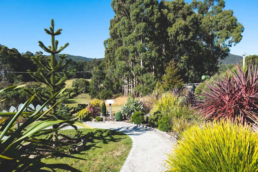 Brightly coloured spiky and pine plants line either side of a path at the entrance of a garden with a blue sky behind