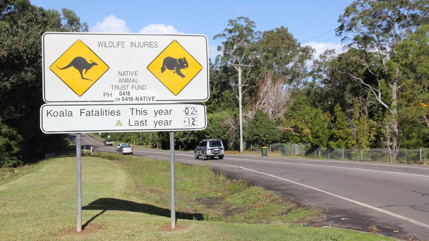 A road shows a picture of a koala and a kangaroos and states there have been two koala deaths this year