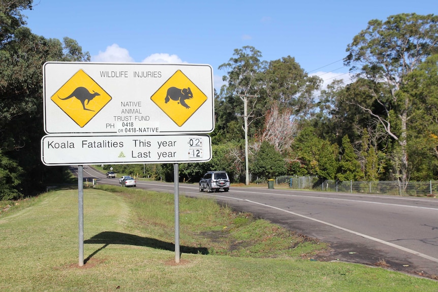 A road shows a picture of a koala and a kangaroos and states there have been two koala deaths this year