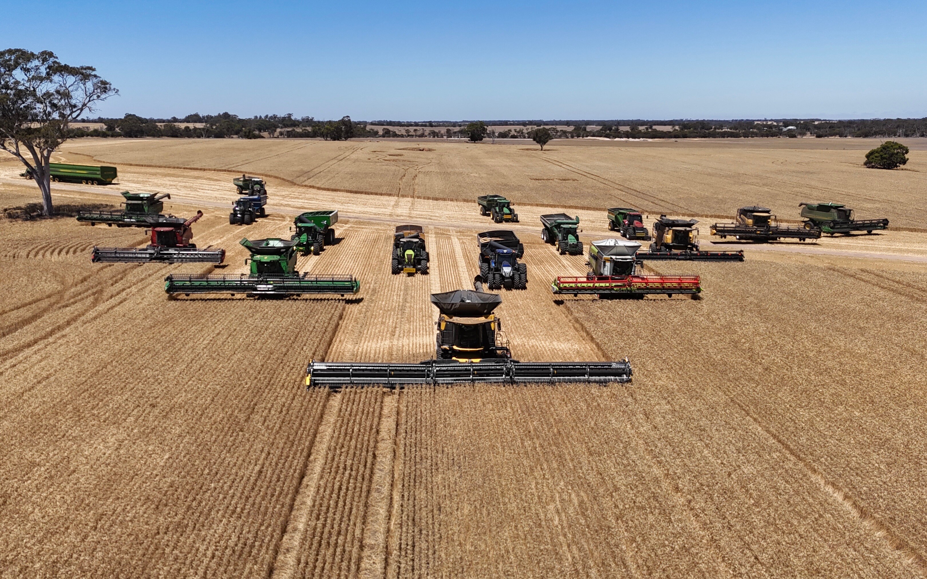 A fleet of headers in a grain paddock.