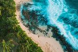 A drone image of a beach with tropical vegetation and turquoise waters in the Hawaiian island of Oahu