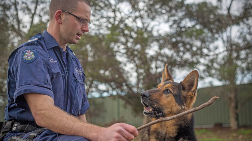 Senior Constable Mark Gray and police dog Diesel