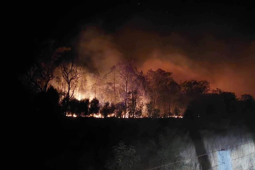 A bushfire burning at night