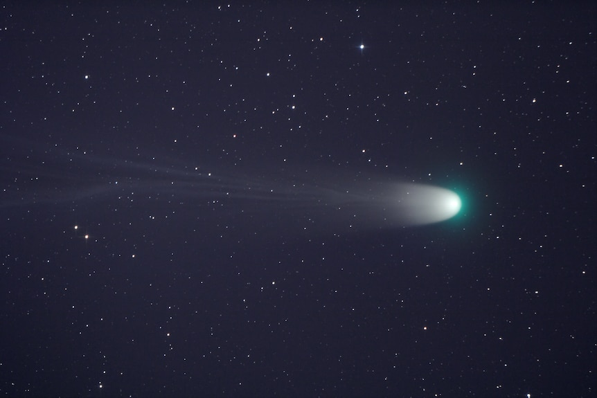 Comet leonard