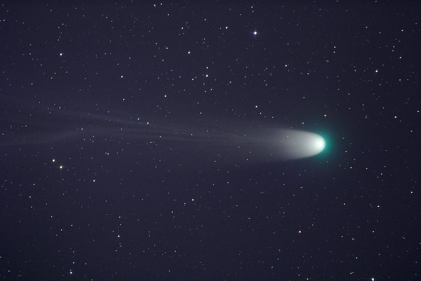 Cometa Leonard