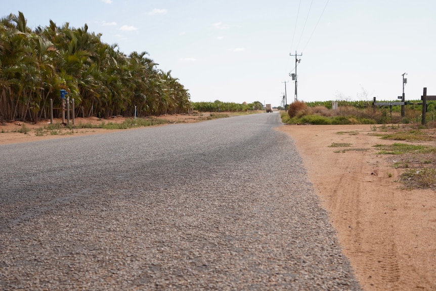 A long road stretching into the distance with banana plantations on the side of the road