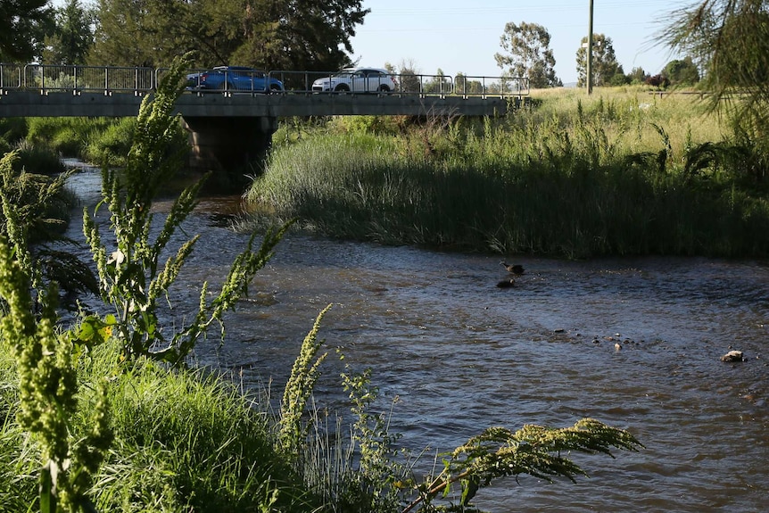 A shallow river with a two lane bridge with two cars travelling over it in the background.