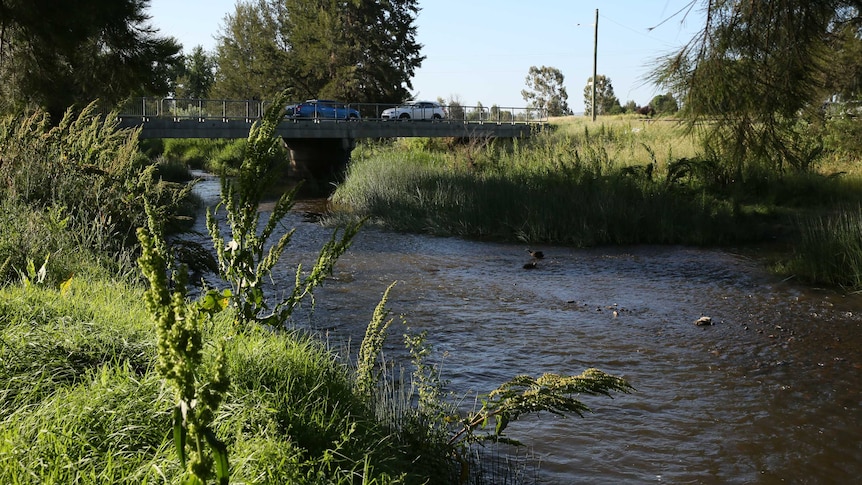 A shallow river with a two lane bridge with two cars travelling over it in the background.