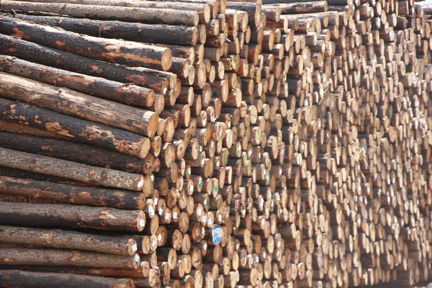 Timber prepared for export at Port Adelaide's Inner Harbour