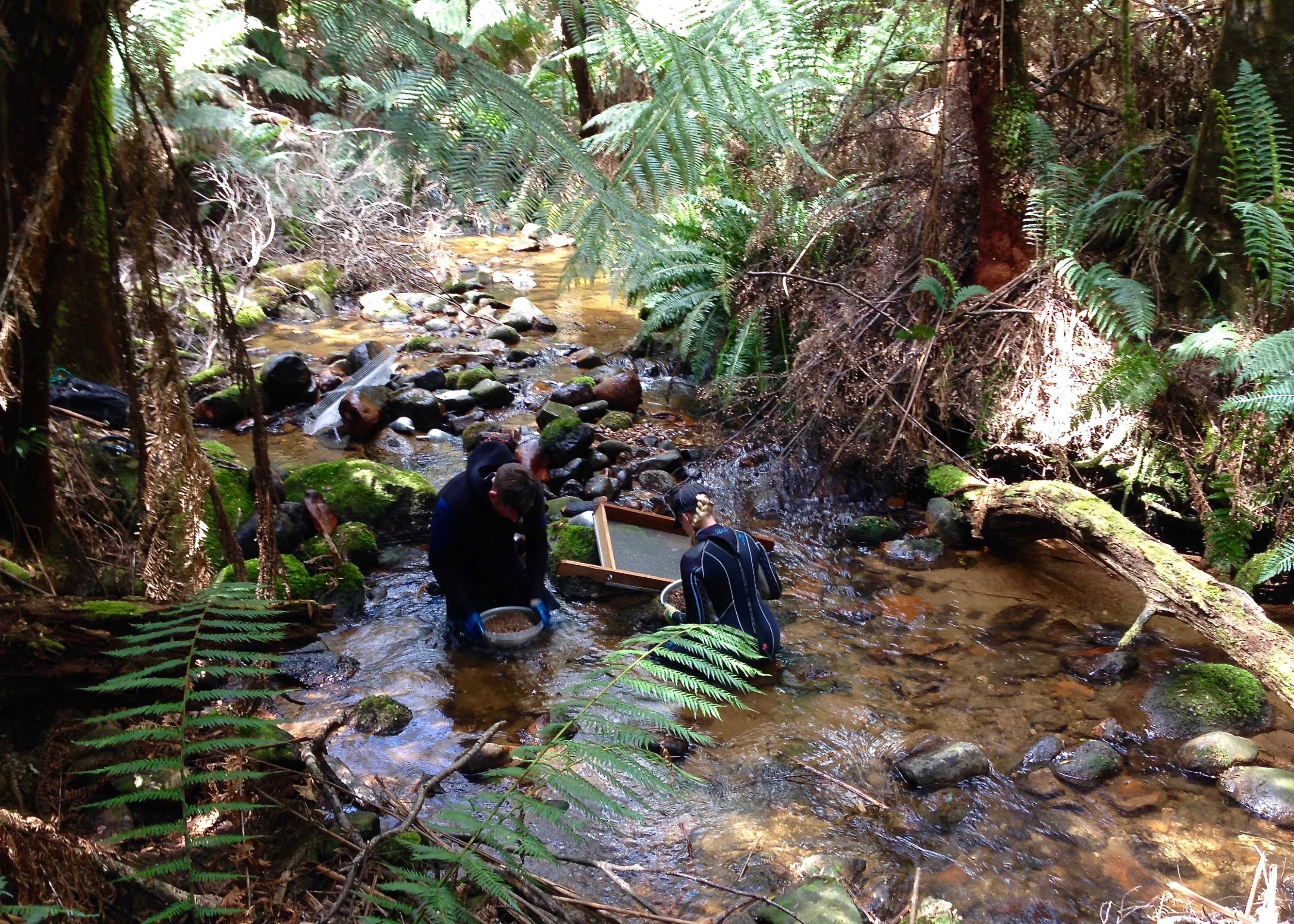 How to mine Tasmanian sapphires by hand ABC Radio National