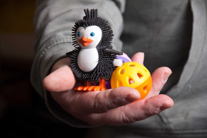 A squeezy penguin and a cat toy in a man's hands close up