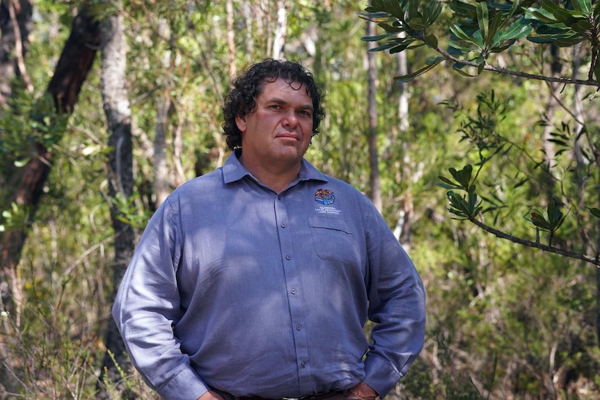 Man stands in beautiful forest with determined look on his face.