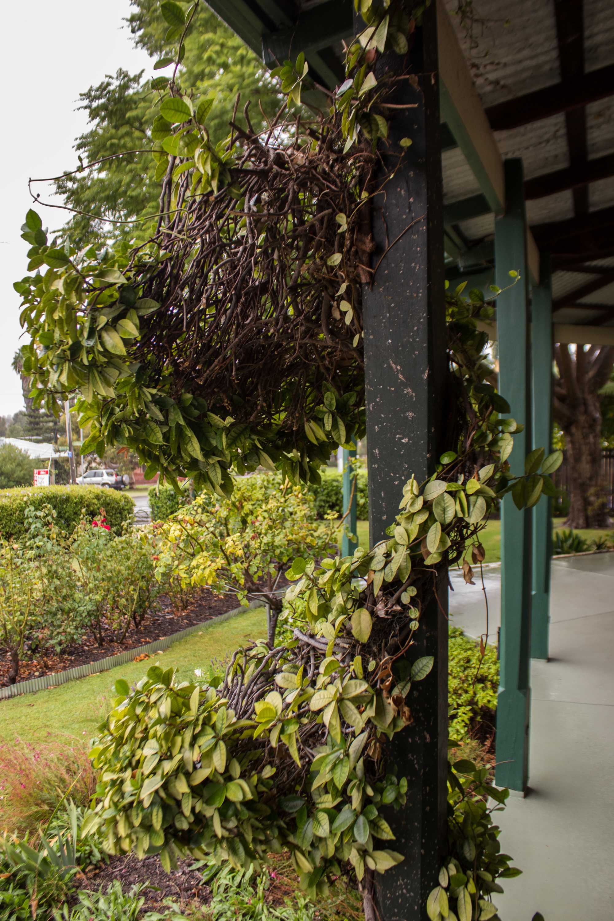 Halliday House offers a snapshot into the story of Bayswater ABC News