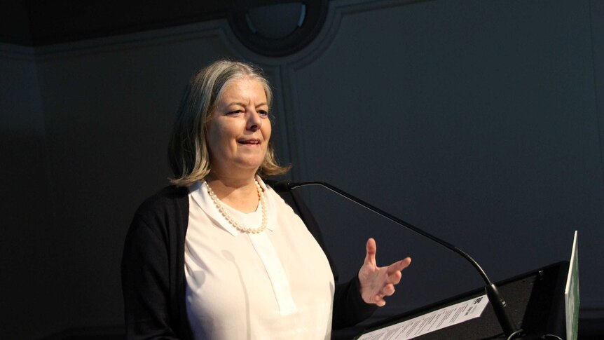 Portuguese diplomat Helen Barroco addressing an international education conference.