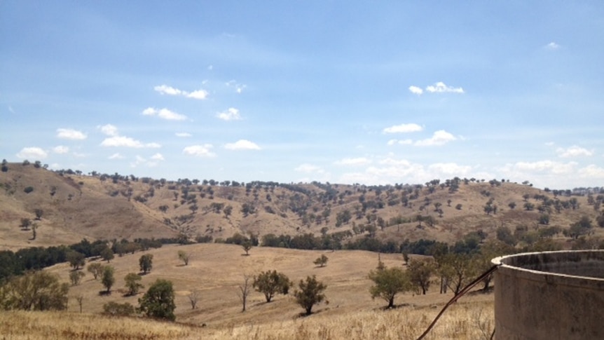 Proposed site for Needles Gap dam