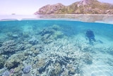 Researchers on Lizard Island said weather conditions had created the "perfect storm" for coral bleaching.