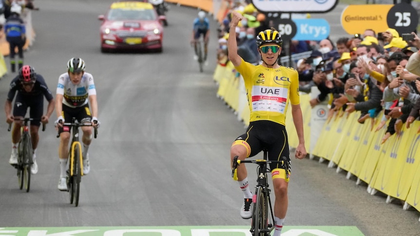 A rider in the yellow jersey sits up and puts his fist in the air, rolling across the line to win a Tour de France stage.