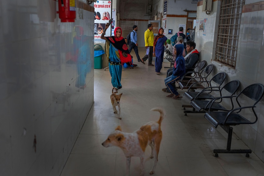 a woman chases a dog out of a hospital as patients watch on