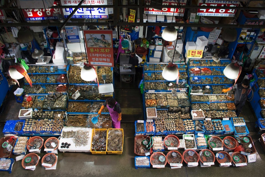 The Noryangjin Fish Market in Seoul.