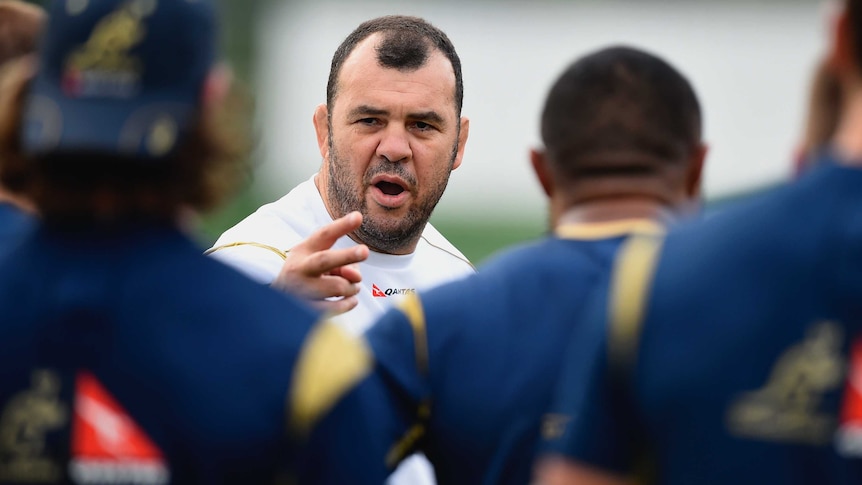 Focus on the moment ... Michael Cheika