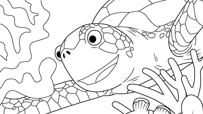 Line drawing of a turtle, Mr Flip from Reef School