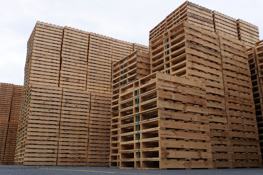 Wooden pallets stacked high outside. 