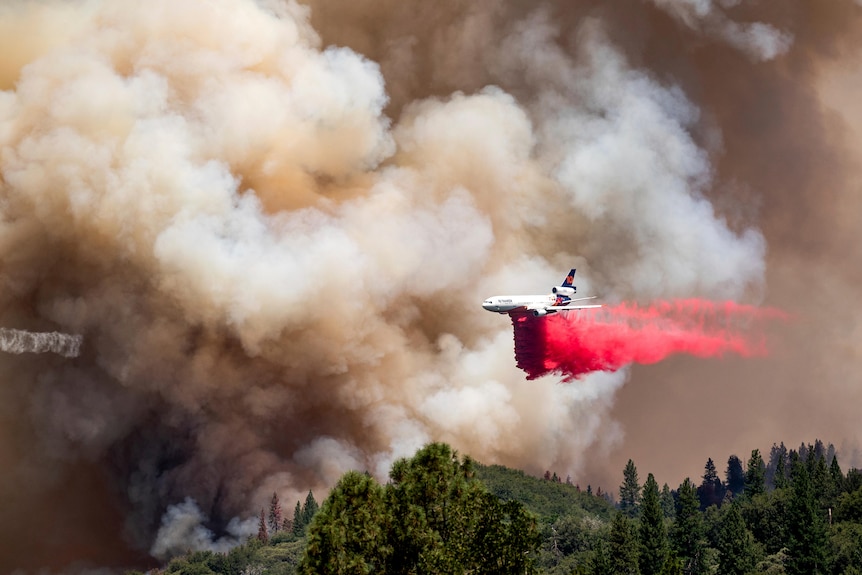 A large aircraft drops bright pink retardant over forest. There's grey smoke in the air. 