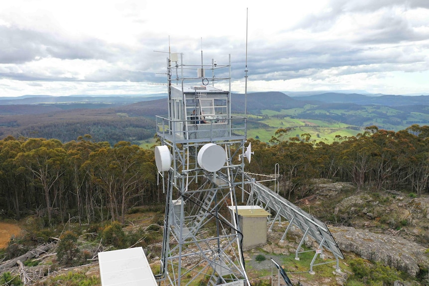 A tall metal tower with a cabin on top surrounded by bush