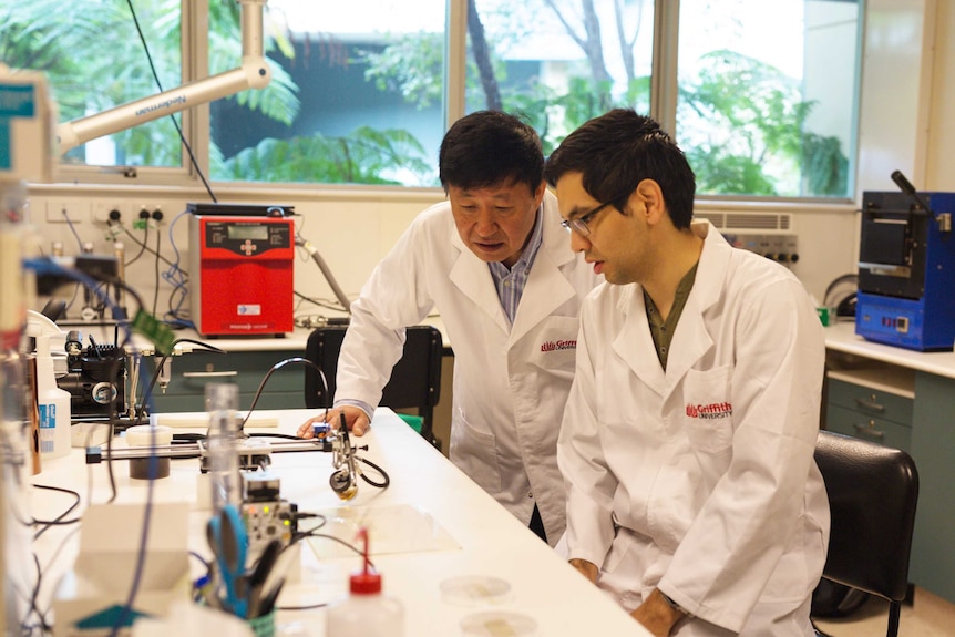 Two men with black hair lab coats monitoring small robots.